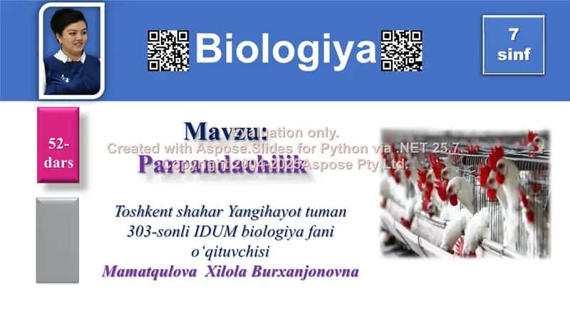 Xonaki Parrandachilik