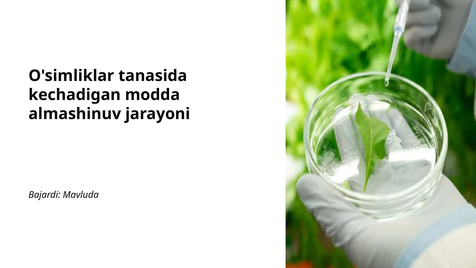 O'simliklar tanasida kechadigan modda almashinuv jarayoni
