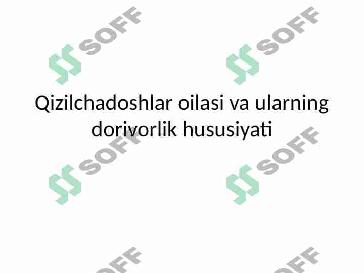 2-Qizilchadoshlar oilasi va ularning dorivorlik hususiyati