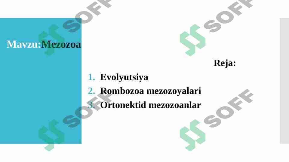 Mezozo