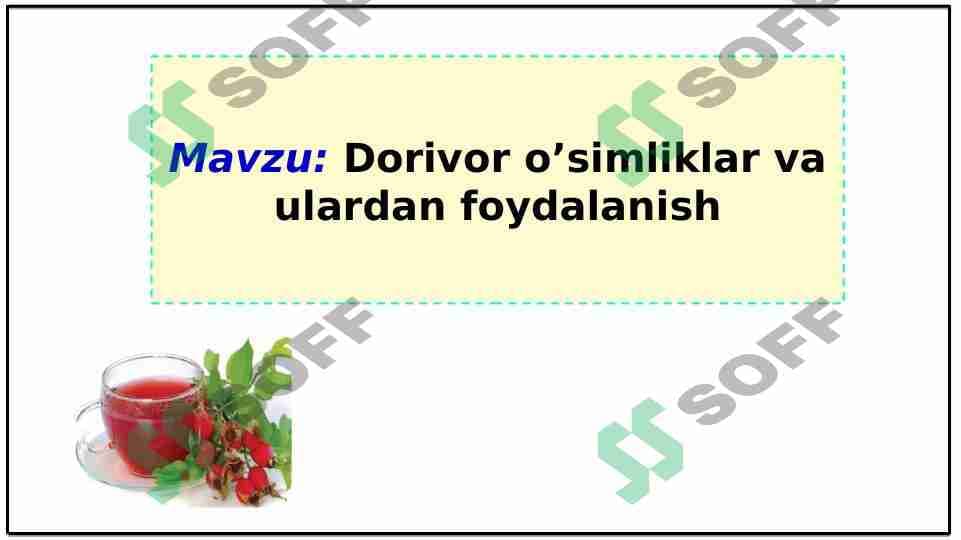 Dorivor o’simliklar va ulardan foydalanish