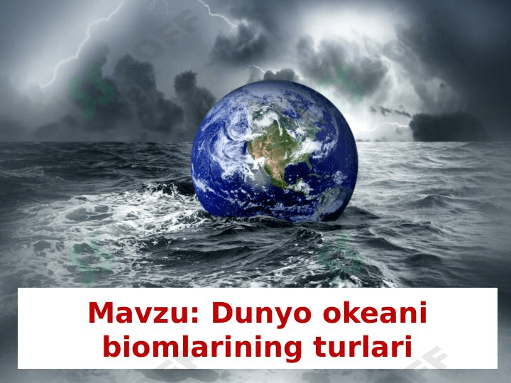 dunyo okeani biomlarining turlari
