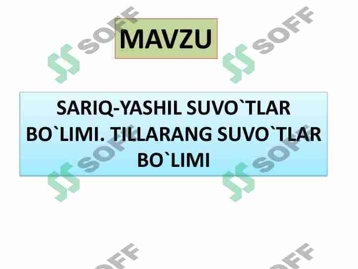 SARIQ-YASHIL SUVO`TLAR  BO`LIMI. TILLARANG SUVO`TLAR  BO`LIM