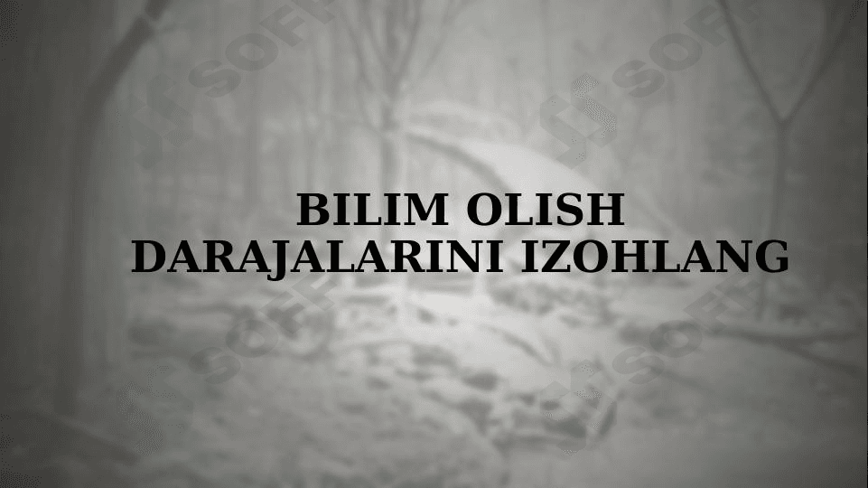 Bilim olish darajalarini izohlang