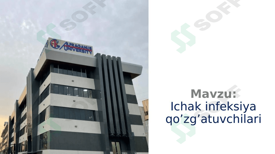 Ichak infeksiya qo’zg’atuvchilari