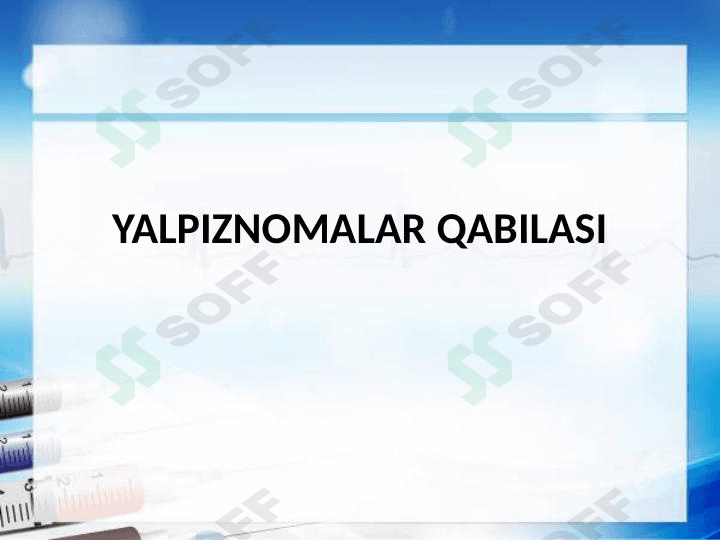 Yalpiznamolar qabilasi