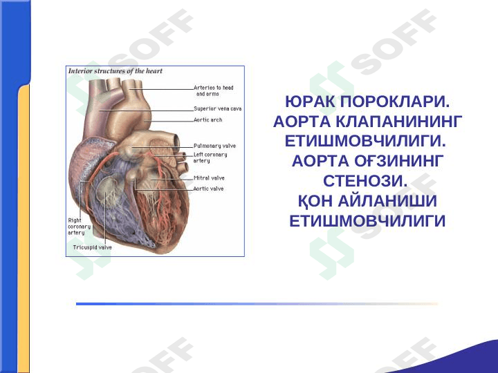 YURAK PAROKLARI.AORTA KLAPANINI YETISHMOVCHILIGI