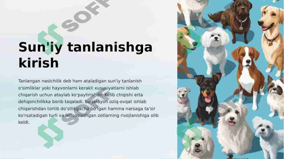 Suniy Tanlanish