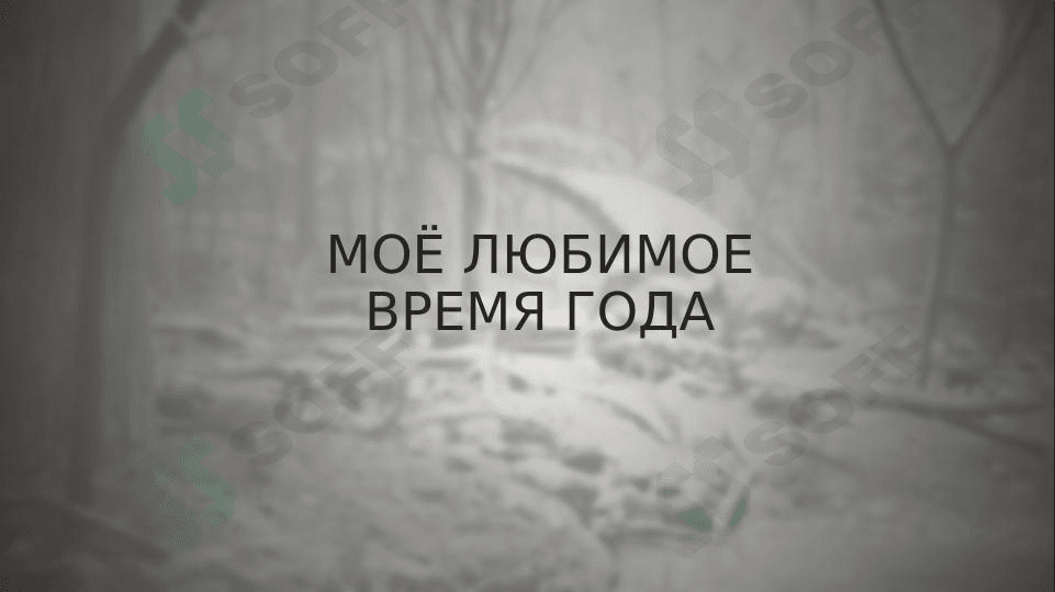 Моё любимое время года