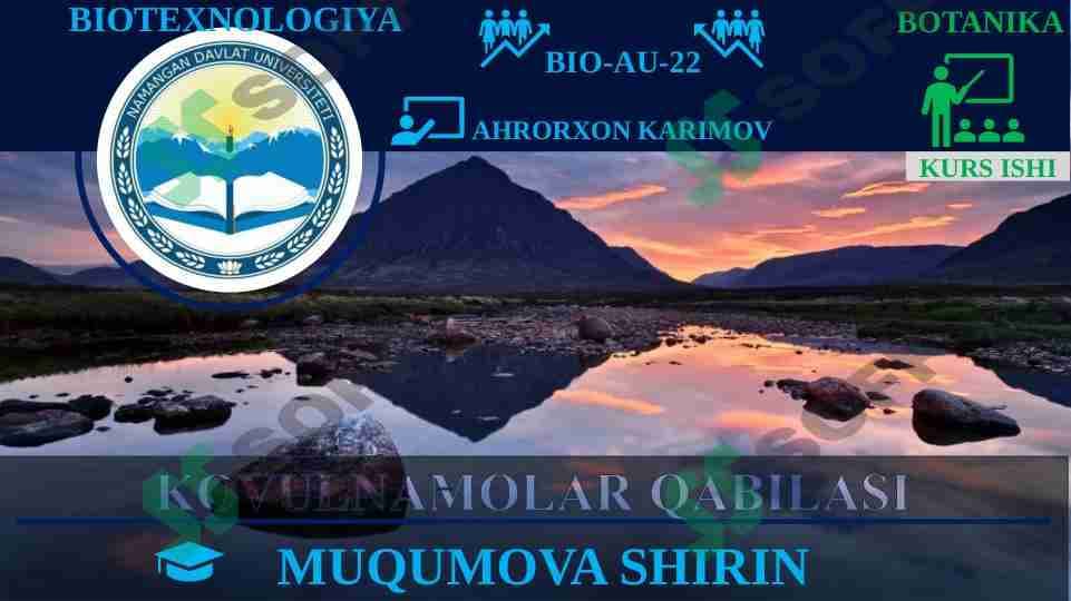 KOVULNAMOLAR QABILISI