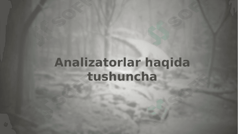 Analizatorlar haqida tushuncha