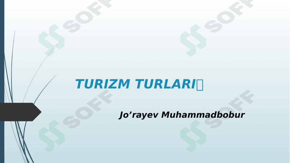 Turizm turlari