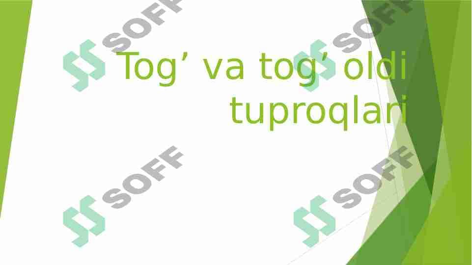 Tog’ va tog’ oldi tuproqlari