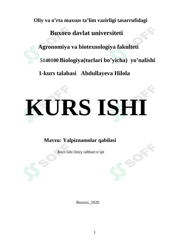 Yalpiznamolar qabilasi