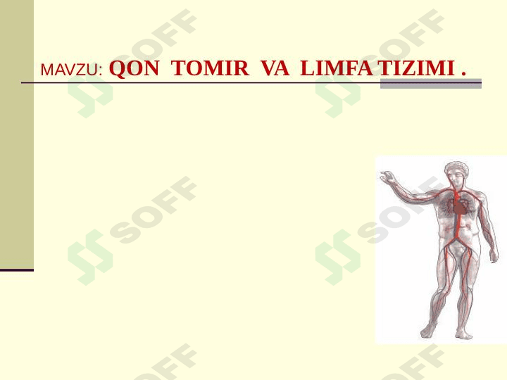 Qon tomir va limfa tizimi