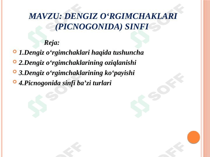 dengiz o'rgimchaklari