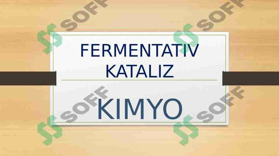 FERMENTATIV KATALIZ
