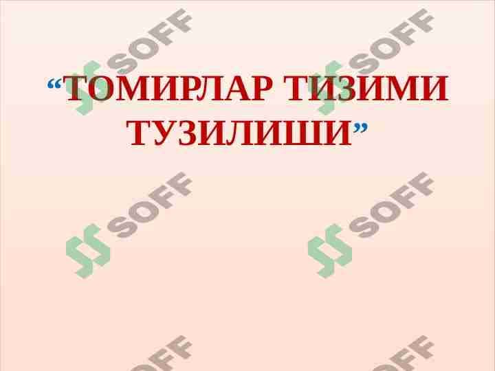 Tomirlar tizimi tuzulishi