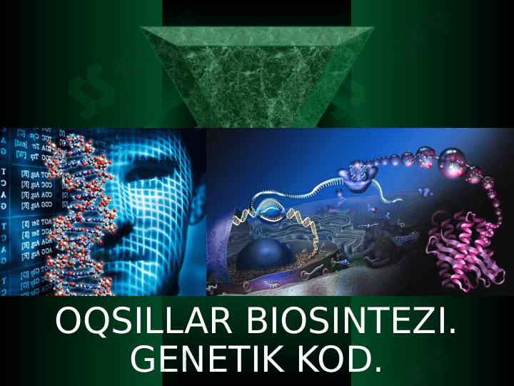 Plastik almashinuv. Oqsillar biosintezi. Genetik kod.