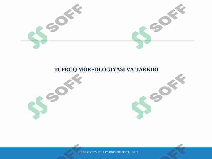 Tuproq morfologiyasi va tarkibi