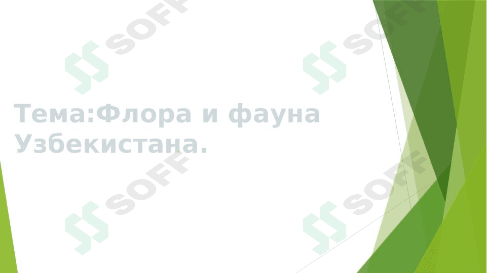 Флора и фауна Узбекистана