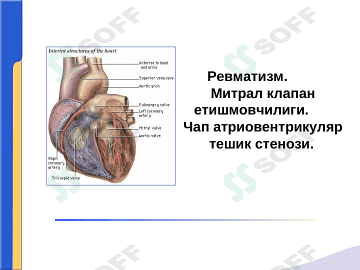 REVMATIZM.MITRAL KLAPAN YETISHMOVCHILIGI