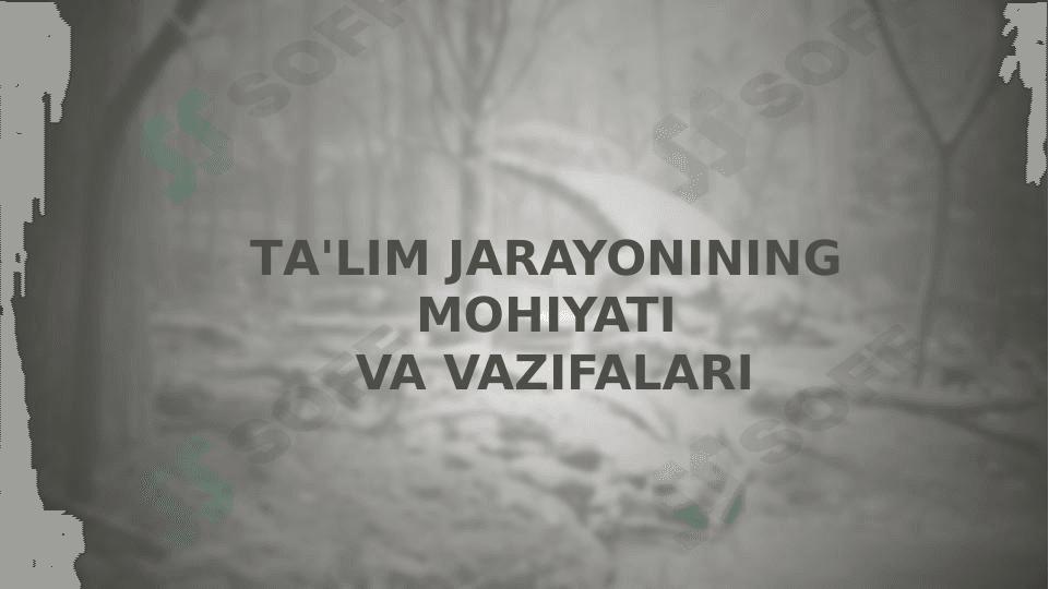 Ta'lim jarayonining mohiyati va vazifalari