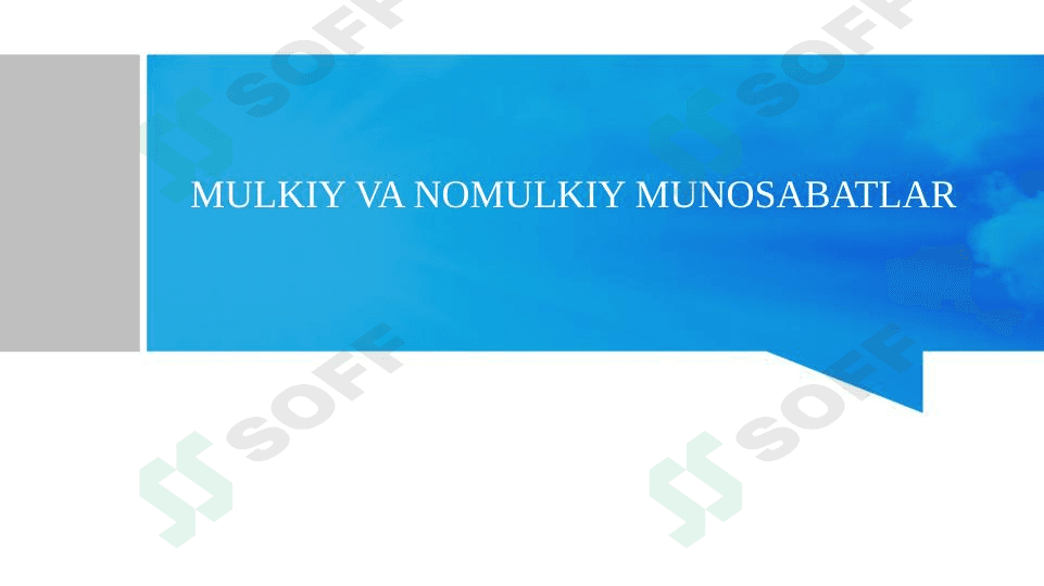 mulkiy va nomulkiy munosabatlar