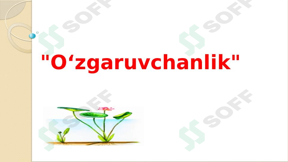 O‘zgaruvchanlik