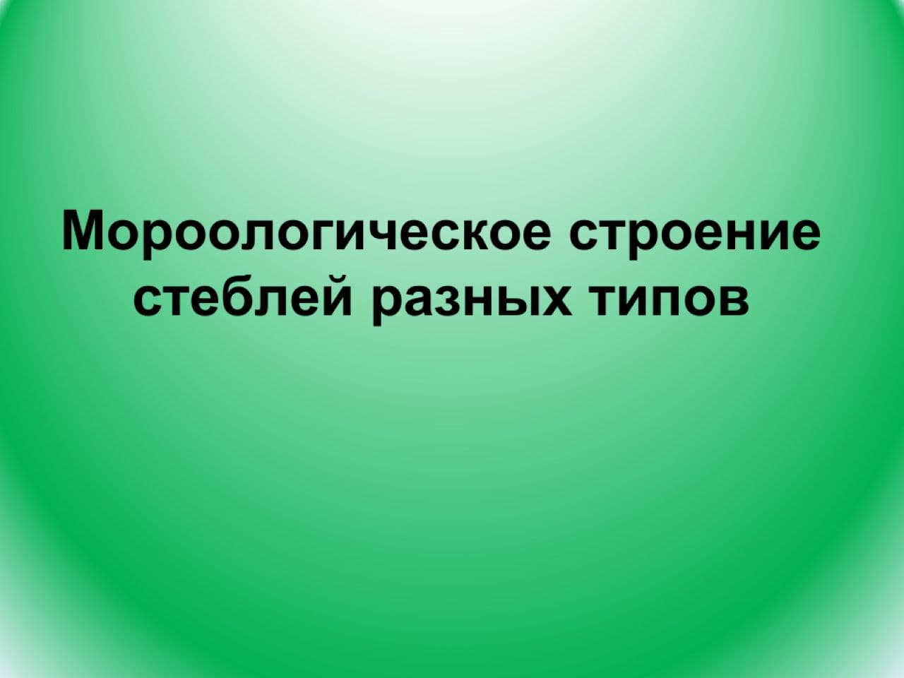 Mороологическое строение стеблей разныx типов