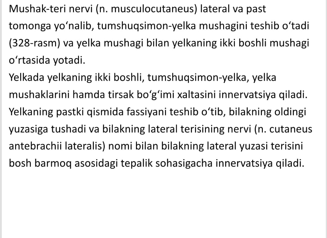Yelka chigali uzun tarmoqlar va qo'l terisi inervatsiyasi