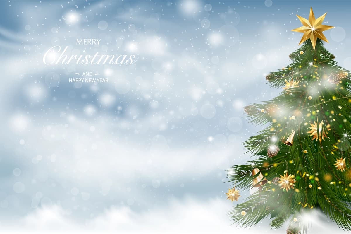 Rojdestvo daraxti qishki manzara fonida Rojdestvo bezaklari | Christmas tree with xmas decorations winter landscape background