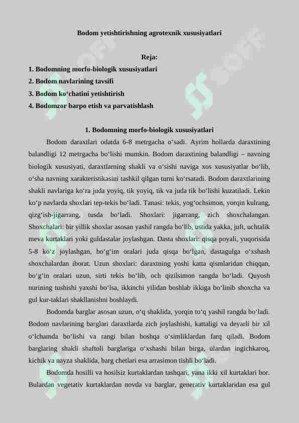 Bodom yetishtirishning agrotexnik xususiyatlari