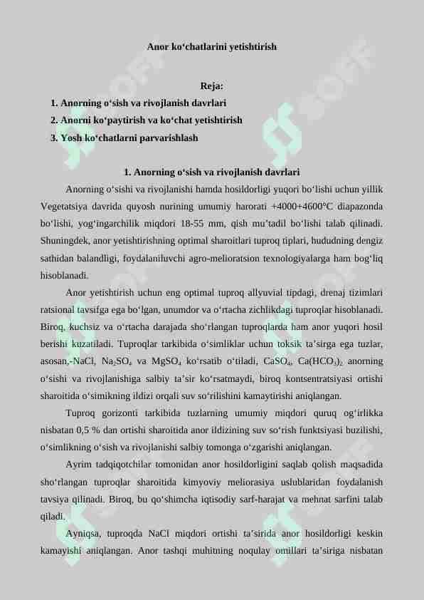 Anor ko'chatlarini yetishtirish