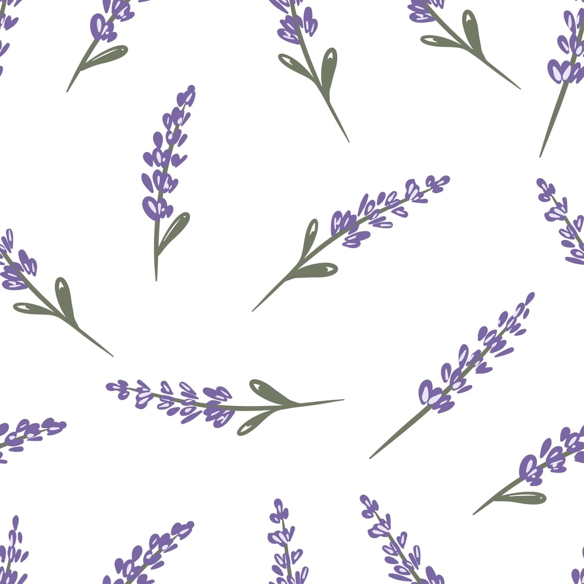 Qo'lda chizilgan dizayn choksiz naqsh lavanta novdalari oq fon bilan | Hand drawn design seamless pattern with lavender sprigs white background