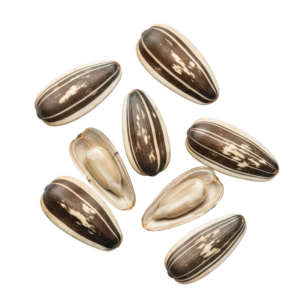 Tarqalgan kungaboqar urug'lari oq fon | Scattered sunflower seeds white background