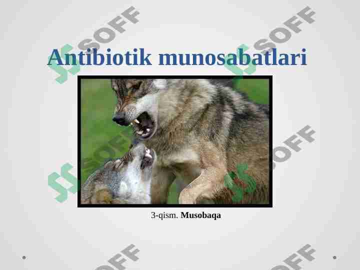 Antibiotik munosabatlari