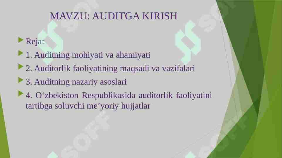 AUDITGA KIRISH