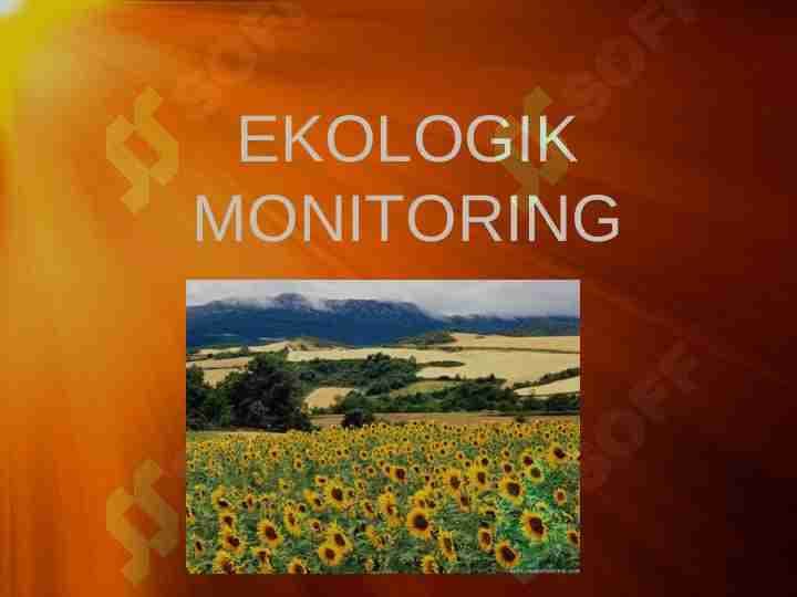 Ekologik monitoring