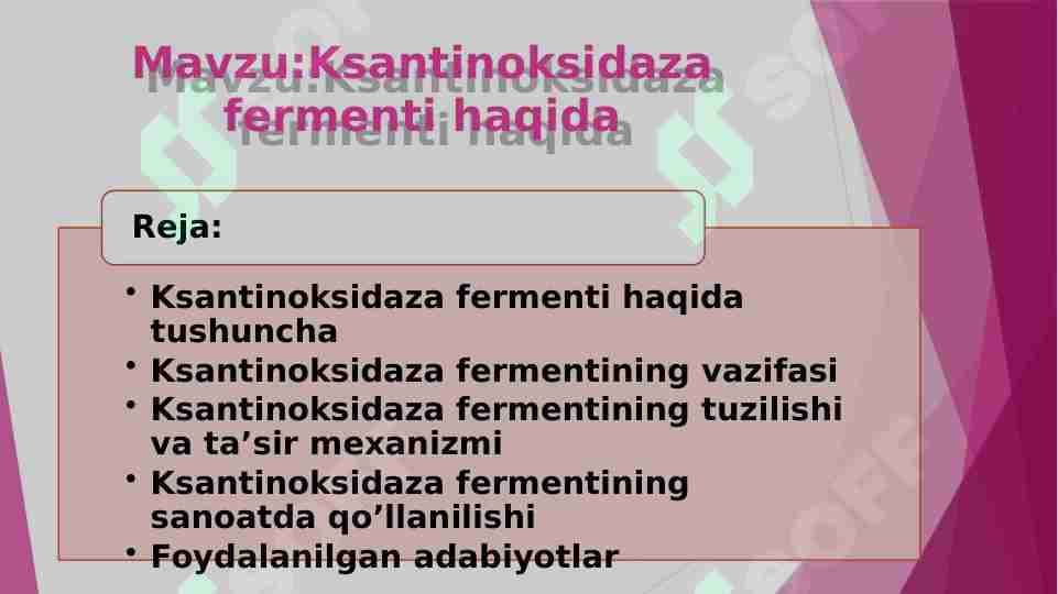 Ksantinoksidaza fermenti haqida