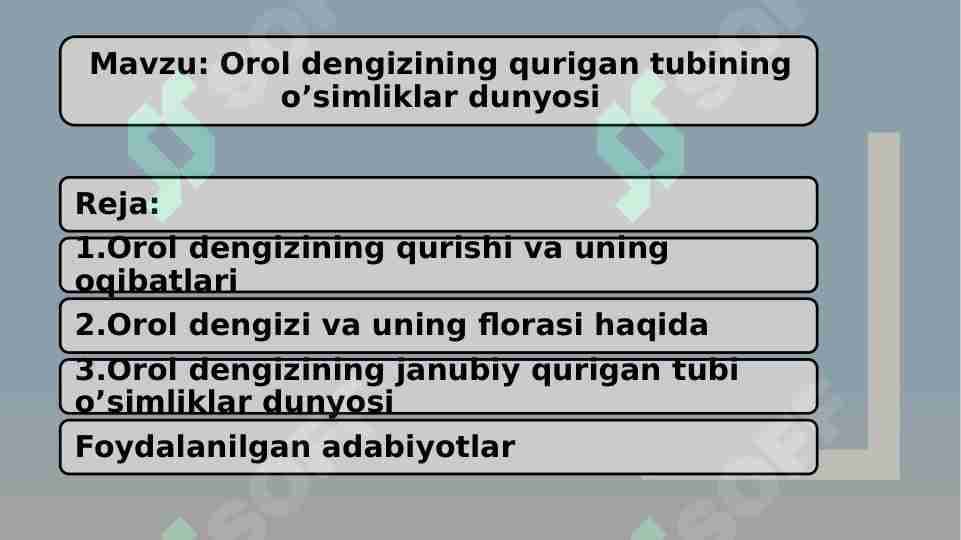 Orol dengizining qurigan tubining o’simliklar dunyosi