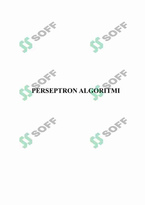 PERSEPTRON ALGORITMI