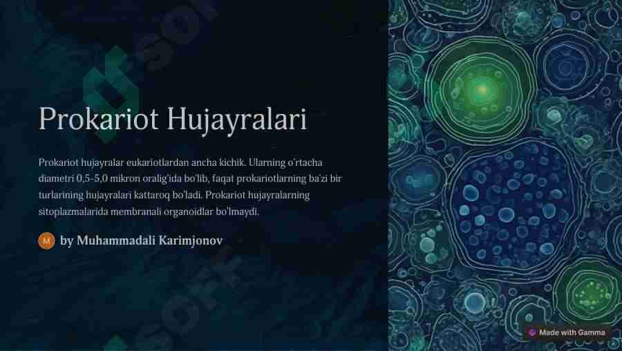 Prokariot hujayralar