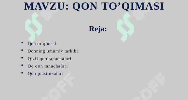 QON TO’QIMASI
