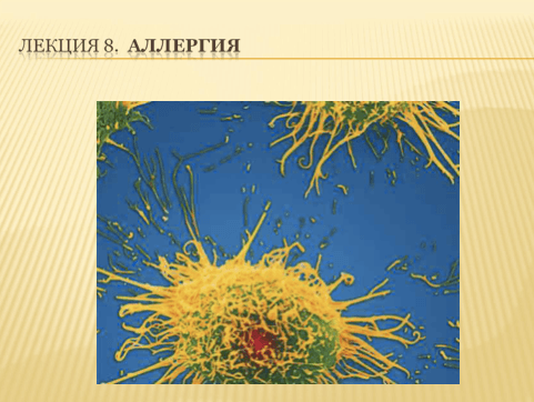 Аллергия (rus)
