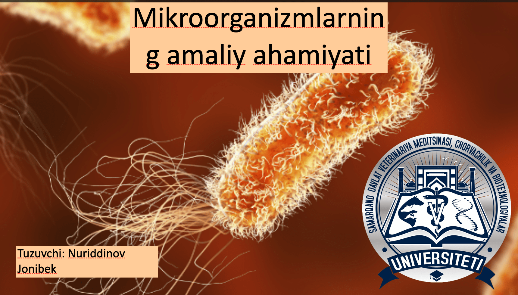 Mikroorganizmlarning amaliy ahamiyati