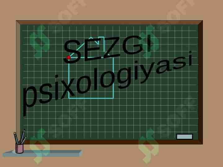 Sezgi psixologiyasi