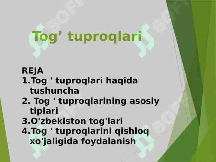 Tog’ tuproqlari