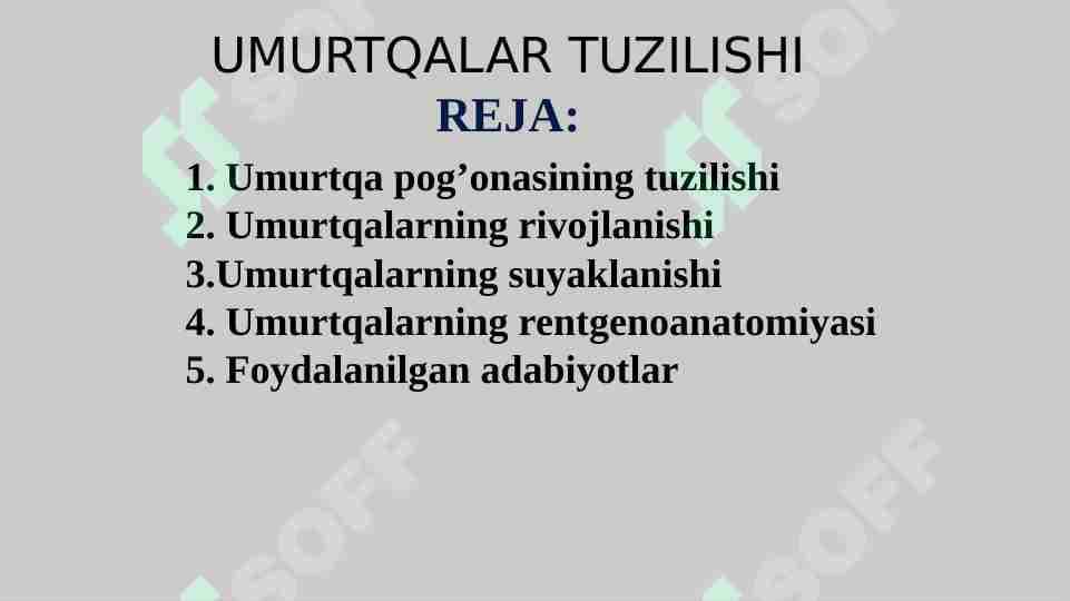 UMURTQALAR TUZILISHI