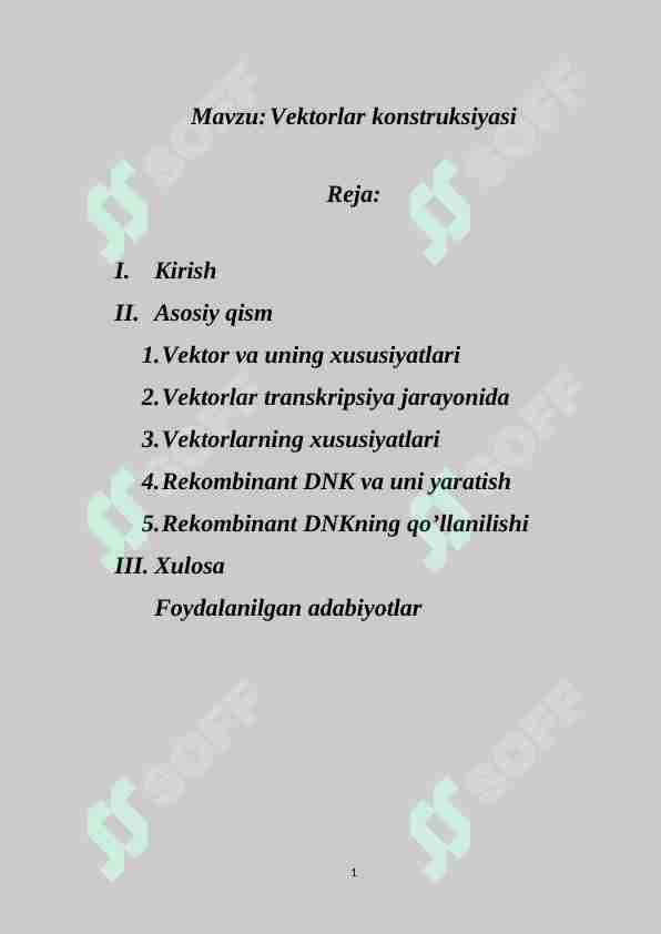 Vektorlar konstruksiyasi